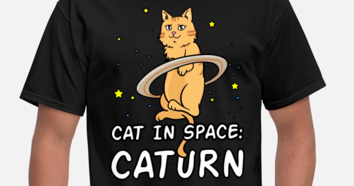 Cat Cats Kitten Kitty Funny Universe 